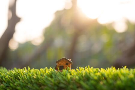 Collections were taken at different locationsの写真素材