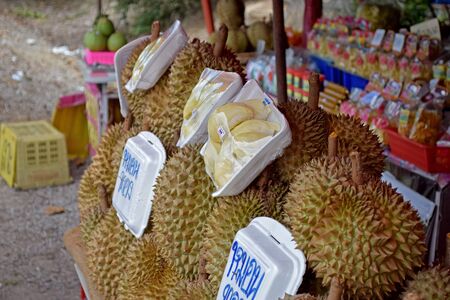 Durian shopのeditorial素材