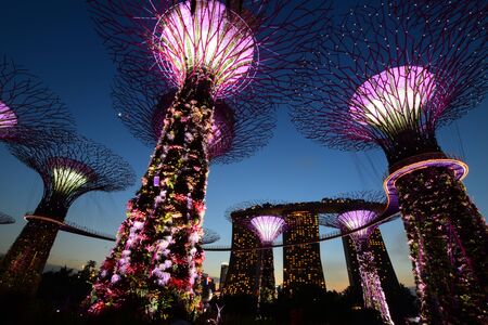 garden by the bay at singaporeのeditorial素材