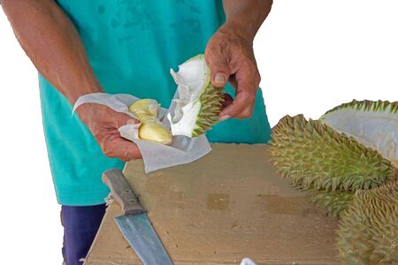 Durian Durian flesh showing the casing to see if there is a yellow eat much.の写真素材