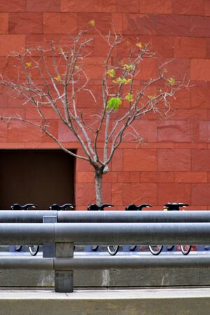 Bike parking in front of red wallの写真素材