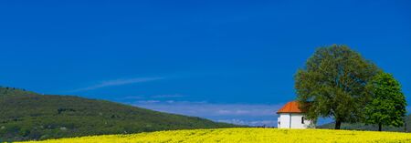 Romantic country with small chapel in the yellow fieldの写真素材