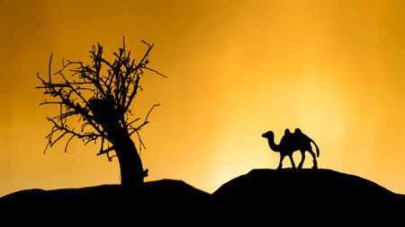 Safari in Africa, orange sunset, tree with toy camel