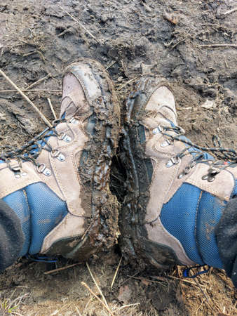 Hiking shoes after a hike in the swampの写真素材