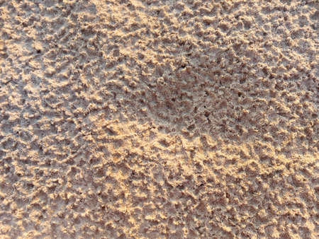 Baltic Sea sand after rainの写真素材