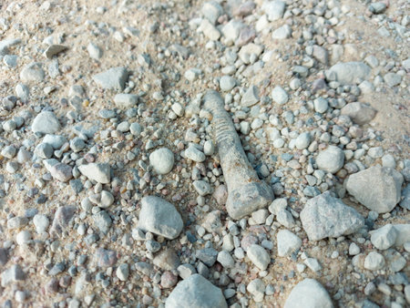 stones in the sand and screwの写真素材
