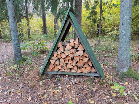 Stacked felled wood logs. Forest road with summer sun on sky. Sawn timber piles in sunlit rural scene. Sunbeams shining through spruce trees. Forestry logging. Eco bark beetle calamity. Deforestation.の写真素材