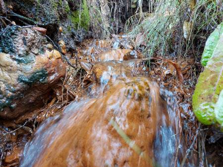 natural sulphurous water springs of the Latvia