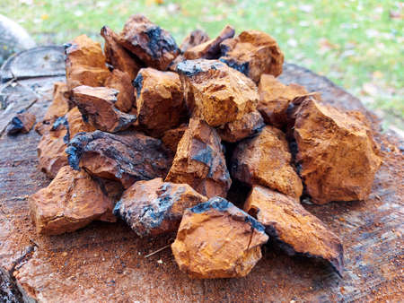 pile pieces of sliced and peeled chaga mushroom birch fungus are stacked against the background of mens hands with axe. step by stepの写真素材