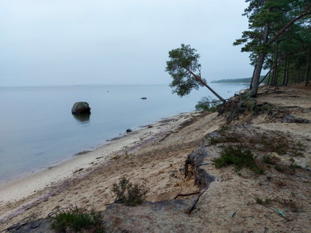 Rocky shores at the sea. Lahemaa natural park coastal landscape with beautiful skyの写真素材