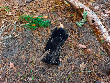lost single glove in the dirt on the groundの写真素材