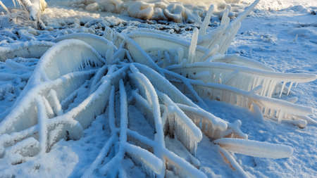 frozen grass, icicles. winter in the countryside of Latviaの写真素材