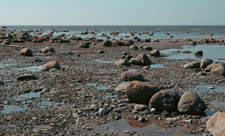 rocky seaside. A lot of stones on the seashore Estonia.