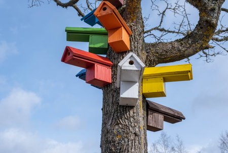 Multicolored Birdhouses.Colored nesting box. Colorful Bird Houses. Houses for birds on a tree.