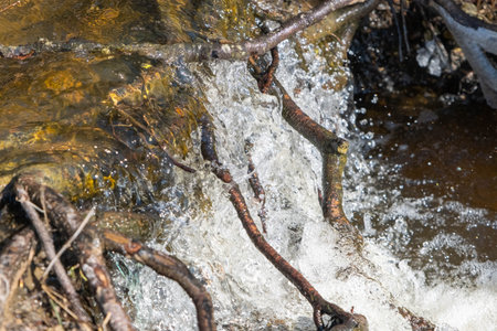 cool flowing water in a natural stream in early spring.