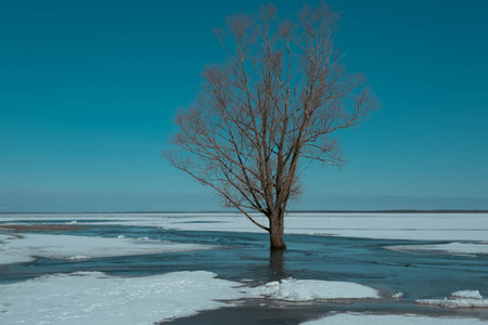 spring landscape from the lake shore, white ice cubes, blue sky, Lake Burtnieki, Latvia.