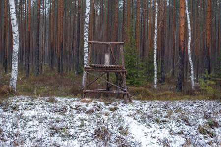 Hunter stand on the edge of the forest, Spring season.の写真素材
