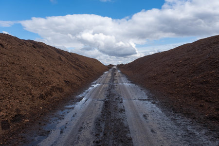 Peat Latvian gold. Peat bogs. Road in the swamp.