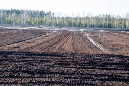 Landscape view of peat bog moss turbary. Photo taken on a warm overcast spring day. Latvia.