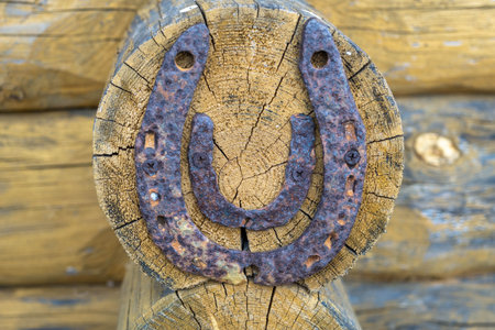 Steel horseshoe on wooden plank background. Old Rusty horseshoes on a wooden wall
