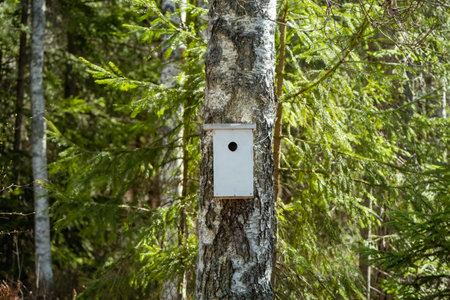 a beautiful white bird house in a tree in the park.