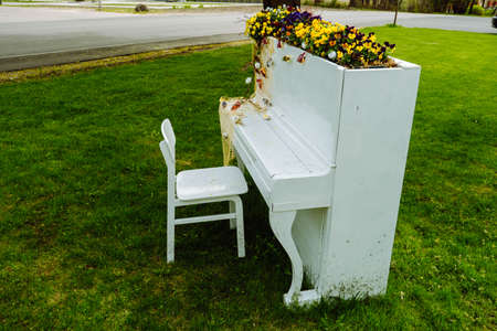 White piano and chairs with romantic decor in summer in garden. Decor for a wedding or a romantic dinner. Grand piano decorated with flowers stands outdoors. garden decor. rustic. celebration.の写真素材