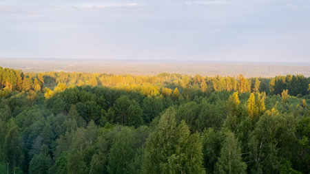Beautiful Latvian landscape with forests, meadows, cloudy skiesのeditorial素材