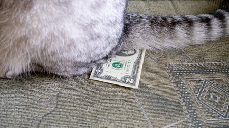 A two dollar sign for a cat under its tail. The value of money falls. economy in recession.