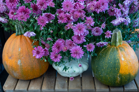 two field pumpkins with beautiful autumn flowers on a wooden tableの写真素材
