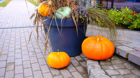 Seasonal decorations with pumpkins and flowers outside. Autumn harvest, Thanksgiving or Halloween background. Autumn decorations of flowers and pumpkins at the entrance of the building.の写真素材