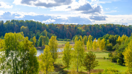 Autumn forest lake nature landscape in Estonia on a sunny day.の写真素材