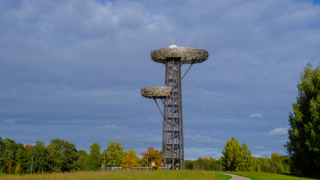 Rouge, Estonia - October 2, 2022: Aerial view of observation tower Nesting Tree Estonian Pesapuu in Rouge Estonian Rouge at cloudy autumn dayのeditorial素材