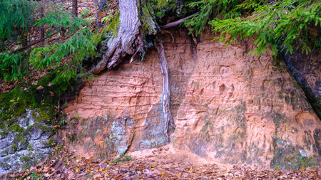 Natural cave in sandstone rock, former bank of Gauja river. Carved wall in Gutmanis cave in Sigulda....