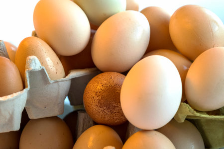 Organic chicken eggs in paper egg box with compartments. Eggs contain vitamins, phosphorus, zinc and...