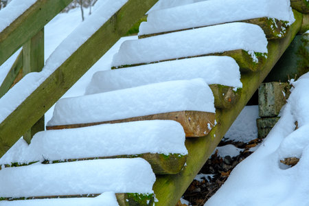 Wooden stairs with snow, tourist trail in the forest. Gauja National Nature Park. Latvia.の写真素材