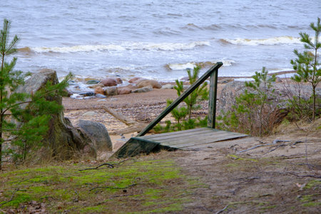 Steep shore of the Baltic Sea and wooden stairs, Latviaの写真素材