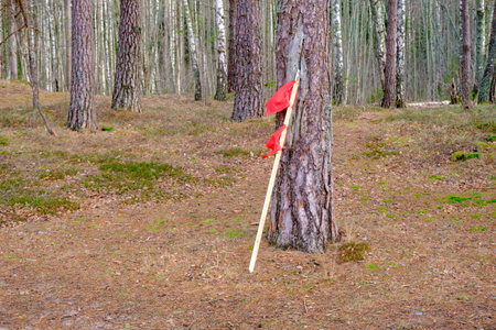 A red fisherman's flag is placed in the forest near a tree in the dune area