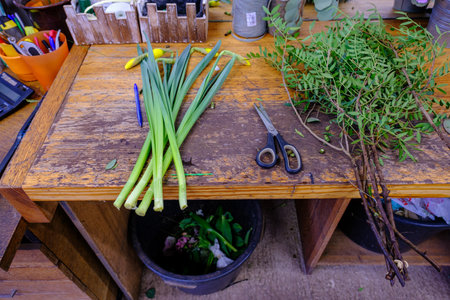 Florist workplace: dog looking at flowers and accessories. top viewの写真素材