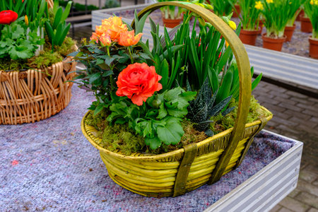 Bouquet of live multicolored flowers in a green box on the wooden floorの写真素材
