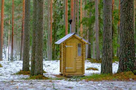 Wooden outdoor toilet in the forest with an open doorの写真素材