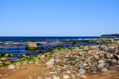 Rocky Baltic sea shore with green sea algae on stones. The Gulf of Riga.