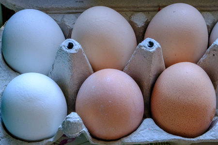 Fresh chicken eggs in a cardboard box. A small farm in the countryside. Multicolored chicken eggs in...