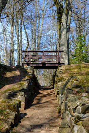 A very scenic little wooden bridge. The small streets of the park walk between the trees. vertical photo.の写真素材