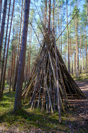 A huge shelter of twigs and branches on the clearing in a deep forest surrounded by trees and...