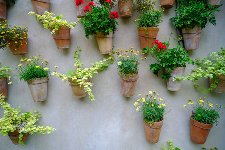 The outer wall of a white house is decorated with clay flower pots in which flowers are arranged.の写真素材