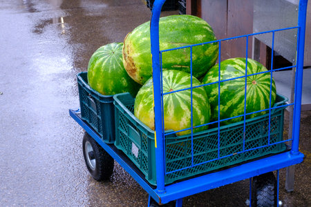 Some ripe watermelons stacked on a blue cart.の写真素材
