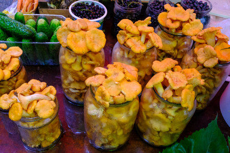 fresh chanterelle mushrooms on the Lithuanian market.の写真素材