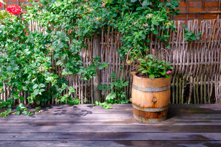 flowers in an old wooden barrel. Branch fence with decorative plants.の写真素材