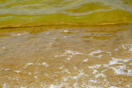 Small waves on the shore of the Baltic Sea in Latvia.の写真素材