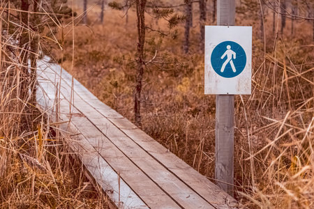 A hike sign indicating a hiking trail along the swamp. Late autumn in Latvia's nature.の写真素材